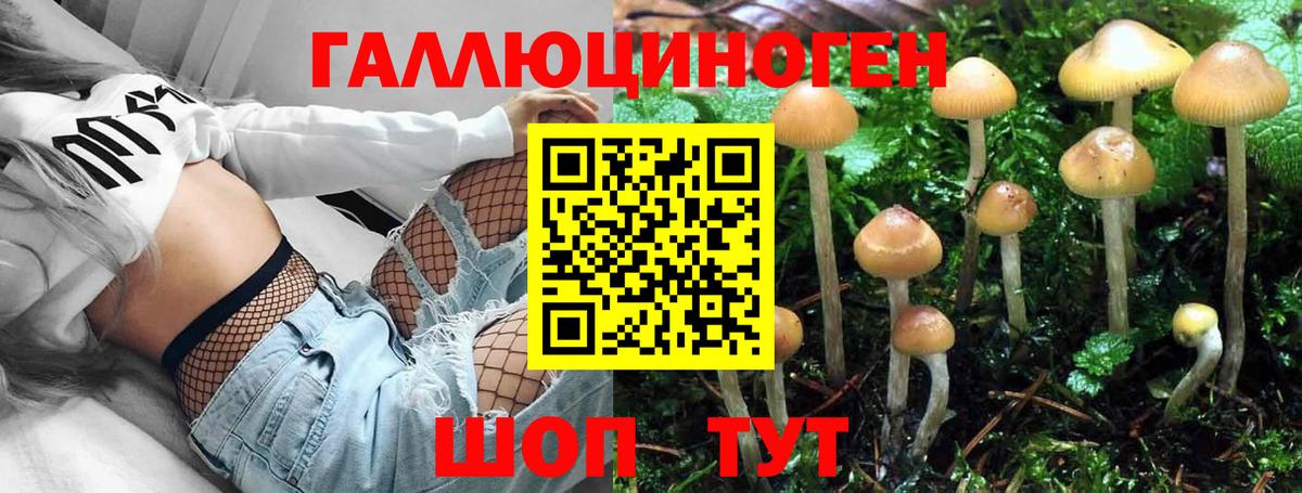 Мценск  Псилоцибиновые грибы прущие грибы  Псилоцибиновые грибы мицелий  Вход с VPN 