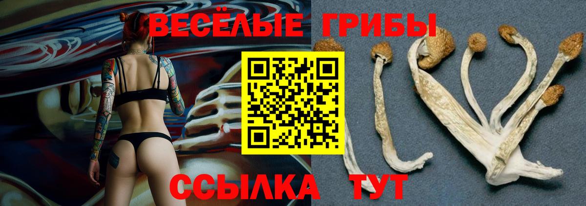 Галлюциногенные грибы ЛСД Мценск